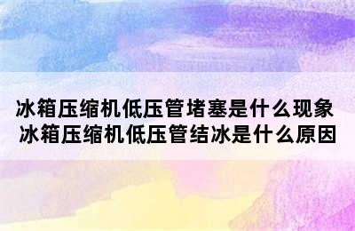 冰箱压缩机低压管堵塞是什么现象 冰箱压缩机低压管结冰是什么原因